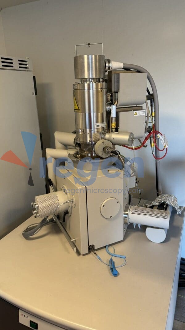SEM FEI 005 IMG 2882