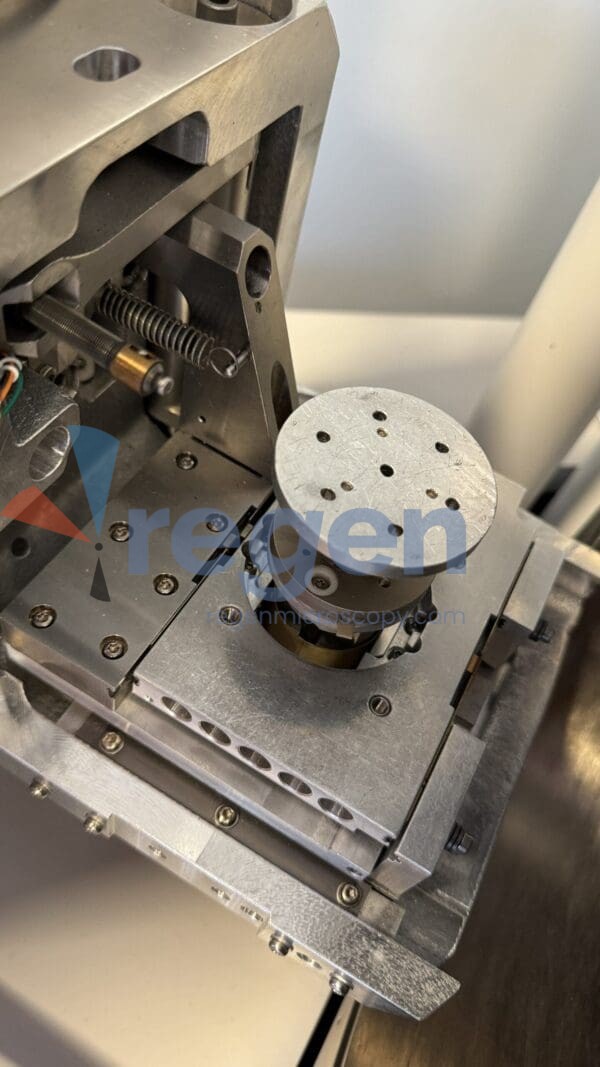 SEM FEI 005 IMG 2883