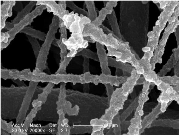  used second hand electron microscope for sale