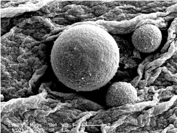  used second hand electron microscope for sale